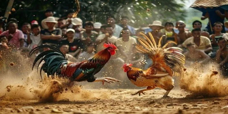 Đường truyền ổn định mượt mà cho quá trình theo dõi chất lượng