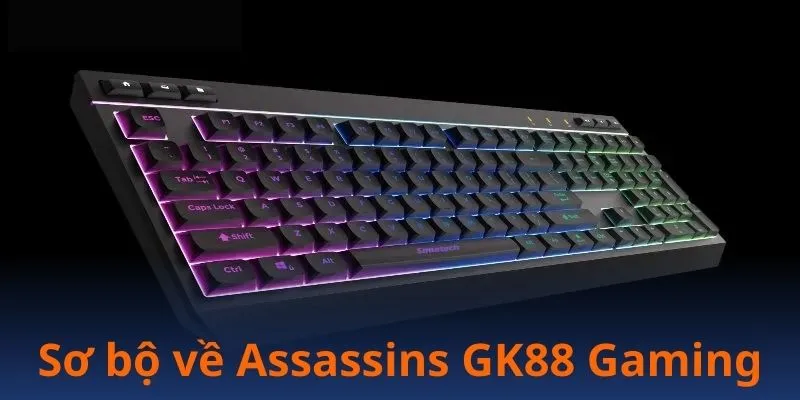 Sự hình thành và lý do Assassins GK88 nổi bật
